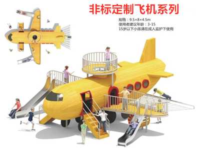 江西非標定制飛機系列1